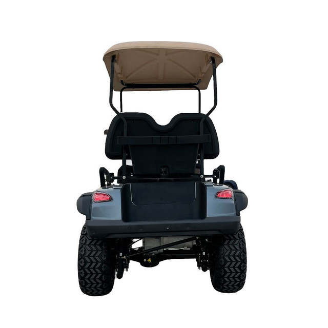 NEW 2 SEATER ELECTRIC GOLF CART 1DYG11 in Other in Alberta - Image 2