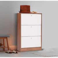 Red Barrel Studio Narrow Shoe Storage Cabinet, Shoe Cabinet for Entryway with 3 Flip-6 Tiers Drawers