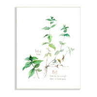 Stupell Industries Mint Sprigs Best Of Herbs Watercolor Garden Plants Grey Farmhouse Rustic Oversized Framed Giclee Text