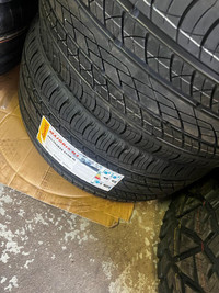 PAIR OF BRAND NEW 295 / 30 R22 ANTARES TIRES !!