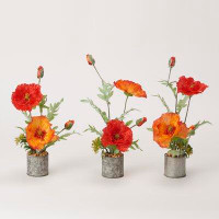Primrue Set Of 3 Poppies In Round Tin Planter