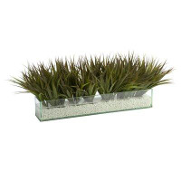 Primrue Wild Grass In Rectangle Aquarium Glass