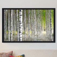 Picture Perfect International "Birch Trees 1" Framed Photographic Print