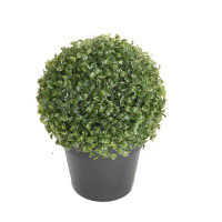 Northlight Seasonal 12.5" Green and Black Potted Artificial Boxwood Spring Garden Plant