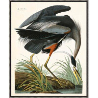 Ashton Wall Décor LLC 'Great Blue Heron' Framed Painting Print on Wrapped Canvas
