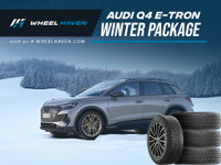 Audi Q4 E-Tron - Winter Tire + Wheel Package 2023 - WHEEL HAVEN