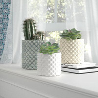 Mistana™ Fontanez 3-Piece Ceramic Pot Planter Set