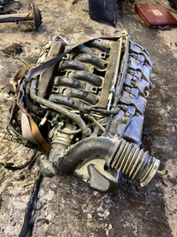 2011-2014 Ford 5.0 engine