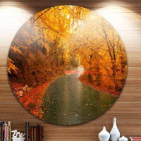 Made in Canada - Design Art 'Autumn Light Trails on Road' Photographic Print on Metal