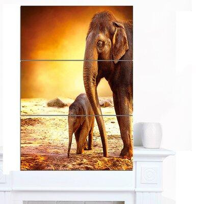 Design Art 'Elephant Mother and Baby Outdoors' 3 Piece Photographic Print on Wrapped Canvas Set in Arts & Collectibles