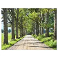Design Art 'Old Road through Alley' Photographic Print on Wrapped Canvas