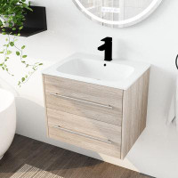 Ebern Designs 24 Inch Wall Mounted Bathroom Vanity With Gel Basin, Soft Closing Drawer