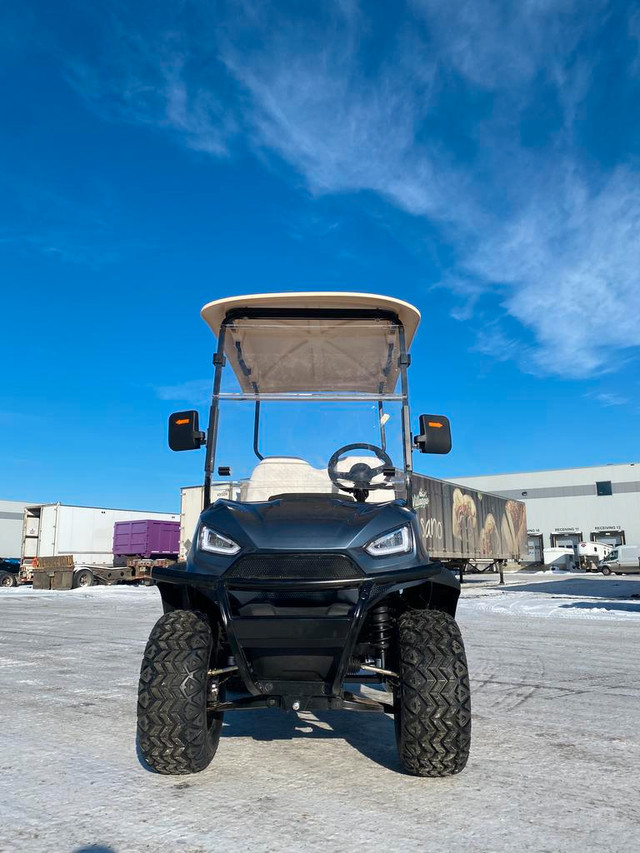 NEW 2 SEATER ELECTRIC GOLF CART 1DYG11 in Other in Alberta - Image 4