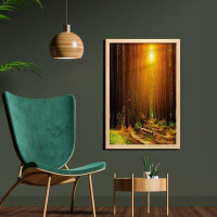 East Urban Home Ambesonne Landscape Wall Art With Frame, Sunset Dawn Sun Rise Beams In Forest Tree Nature Plants Print I