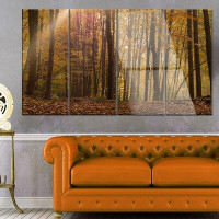Design Art 'Dense Forest in Rays of Rising Sun' 4 Piece Photographic Print on Metal Set