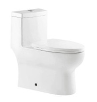 1 Piece Elongate Dual Flush Toilet w Soft Close Seat - Height: 16.5”  NCS