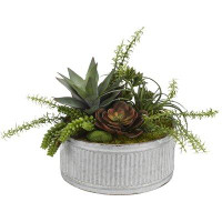 Williston Forge Echeveria, Aloe and Assorted Succulents in Tin Scculent Plant in Planter