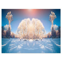 Made in Canada - Design Art Horizontally Flipped Winter Trees Photographic Print on Wrapped Canvas