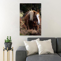 MentionedYou Brown Horse Among Wild Plants - 1 Piece Rectangle Graphic Art Print On Wrapped Canvas