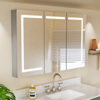 Brayden Studio Amreece Recessed or Surface Mount Frameless 3 Doors with 6 Adjustable Shelves and LED Lighting and Electr