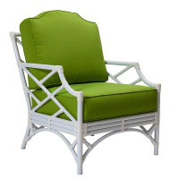 David Francis Furniture Chippendale Patio Chair with Cushions