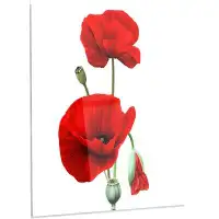 Made in Canada - Design Art Floral 'Red Poppies on White Background' Graphic Art on Metal