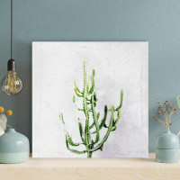 Foundry Select Green Plant In White Background - 1 Piece Square Graphic Art Print On Wrapped Canvas