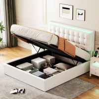 Ivy Bronx Khrystyn Queen Size Tufted Faux Leather Platform Storage Bed with LED