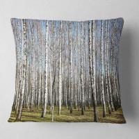 East Urban Home Forest Sunny November Day in Birch Grow Pillow