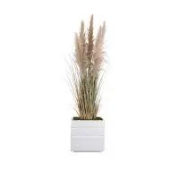 Vintage Home Tall Faux Pampas Grass | 66” Tall Grass In Short White Planter Planter | Primrue
