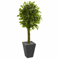 Orren Ellis 5ft. Braided Ficus Artificial Tree in Slate Planter UV Resistant (Indoor/Outdoor)