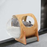 Tucker Murphy Pet™ Damonei Specialty Cat Bed