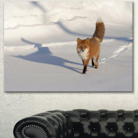 Design Art 'Brown Winter Red Fox with Footprints' Photographic Print on Wrapped Canvas