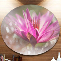 Design Art 'Pink Lotus on Abstract Background' Photographic Print on Metal