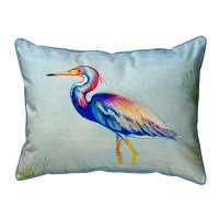 Highland Dunes Tri-Coloured Heron Large Indoor/Outdoor Pillow 16x20