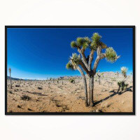 East Urban Home 'Joshua Tree in Open Desert' Framed Photographic Print on Wrapped Canvas