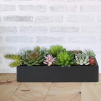 Primrue 12 Inch Modern Artificial Succulent Arrangement Centerpiece in Black Rectangular Wood Planter Box