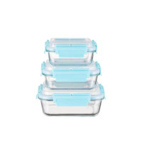 Prep & Savour HI-TOP Lids With Pro Grade Removable Lockdown Levers Rectangular 3 container set