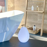 Smart & Green Lampe de table d’extérieur à DEL intégrée à piles pour vasque