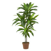 Primrue 42" Dracaena Plant in Planter