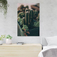 Foundry Select Selective Focus Photography Of Cactus Plant In Pot - 1 Piece Rectangle Graphic Art Print On Wrapped Canva