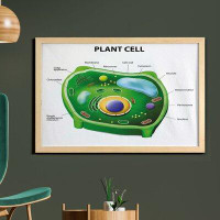 East Urban Home Ambesonne Science Wall Art With Frame, Plant Cell Biology Research Botany Anatomy Structure Organic Life
