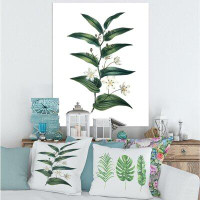 East Urban Home Vintage Plant With Little White Flowers - Farmhouse Canvas Wall Art Print PT35409