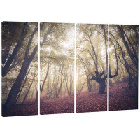 Made in Canada - Design Art 'High-Rise Trees in Forest Photo' 4 Piece Graphic Art on Wrapped Canvas Set