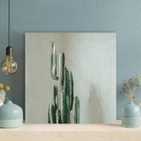 Foundry Select Green Cactus Plant On White Wall 4 - Wrapped Canvas Painting