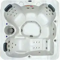 Home and Garden Spas 5-Person 51-Jet Hot Tub