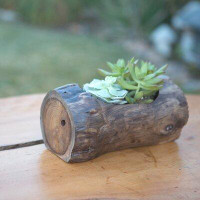 Loon Peak Miesner Wood Pot Planter