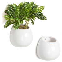 Latitude Run® Ceramic Pot Planter