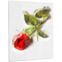 Made in Canada - Design Art Flower 'Red Rose with Stem' Painting Print on Metal