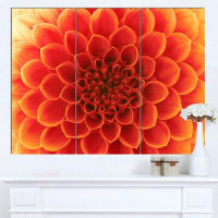 Design Art 'Orange Abstract Flower Petals' 3 Piece Photographic Art on Wrapped Canvas Set